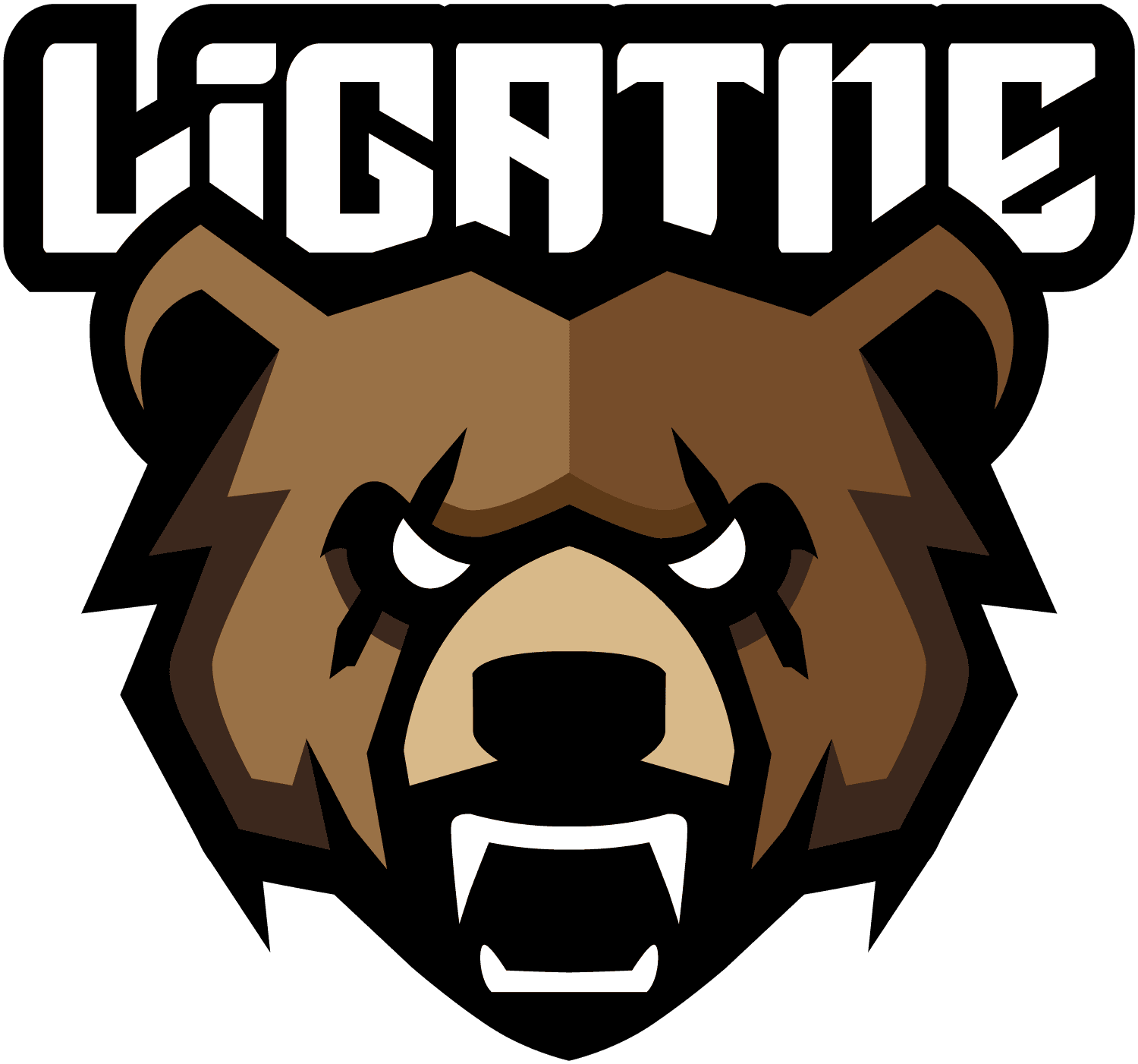 FK Līgatne